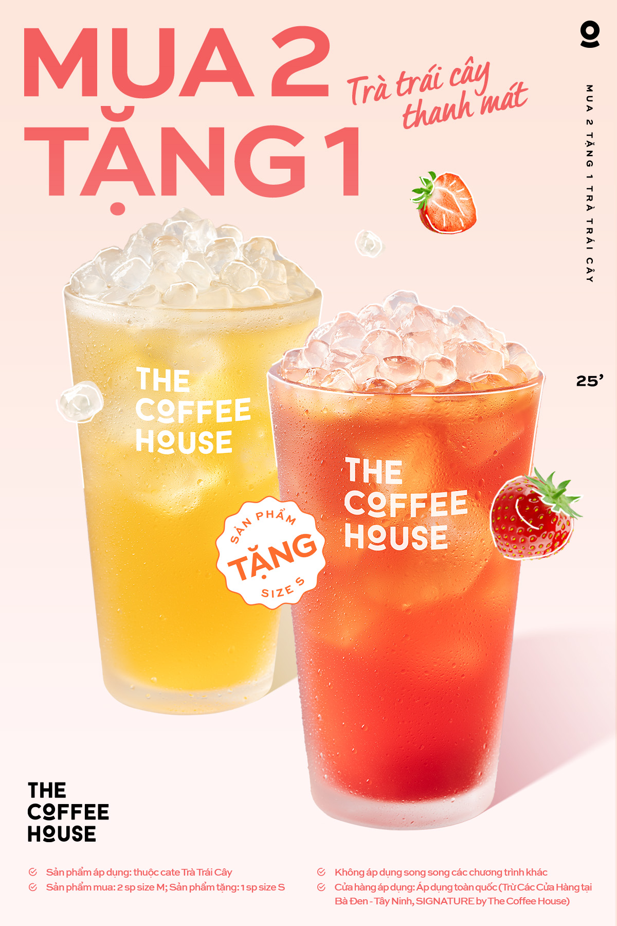 Mua 2 (M) Tặng 1 (S) Trà Trái Cây